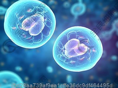 婚姻如何保持新鮮 婚姻保鮮可防婚外戀發生